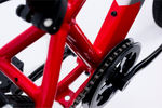 Avalanche Buzz 20" Boys Red — full-size ERPLY original