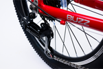Avalanche Buzz 20" Boys Red — full-size ERPLY original