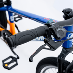 Avalanche Cosmic 24"  Boys Blue/Orange