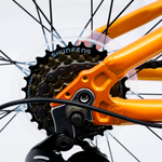 Avalanche Cosmic 24"  Boys Blue/Orange