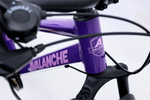 Avalanche Cosmic  24" Girls Purple — full-size ERPLY original