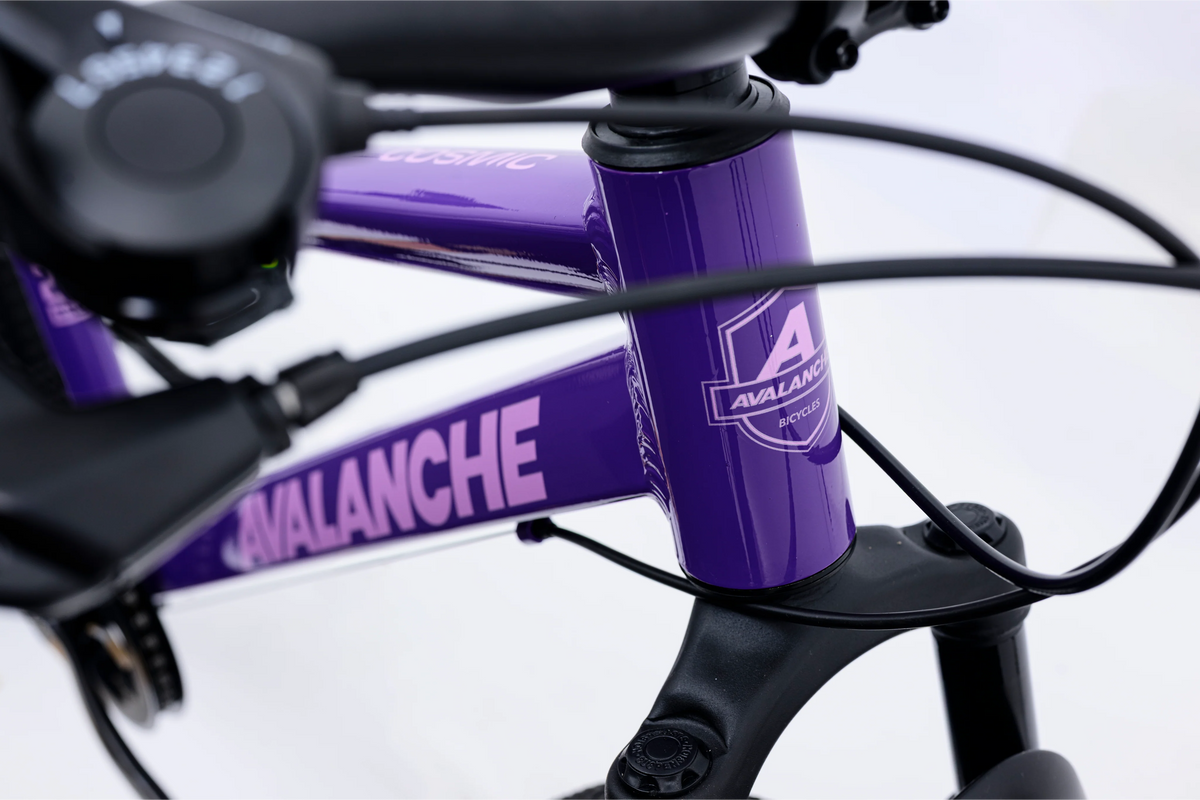 Avalanche Cosmic  24" Girls Purple