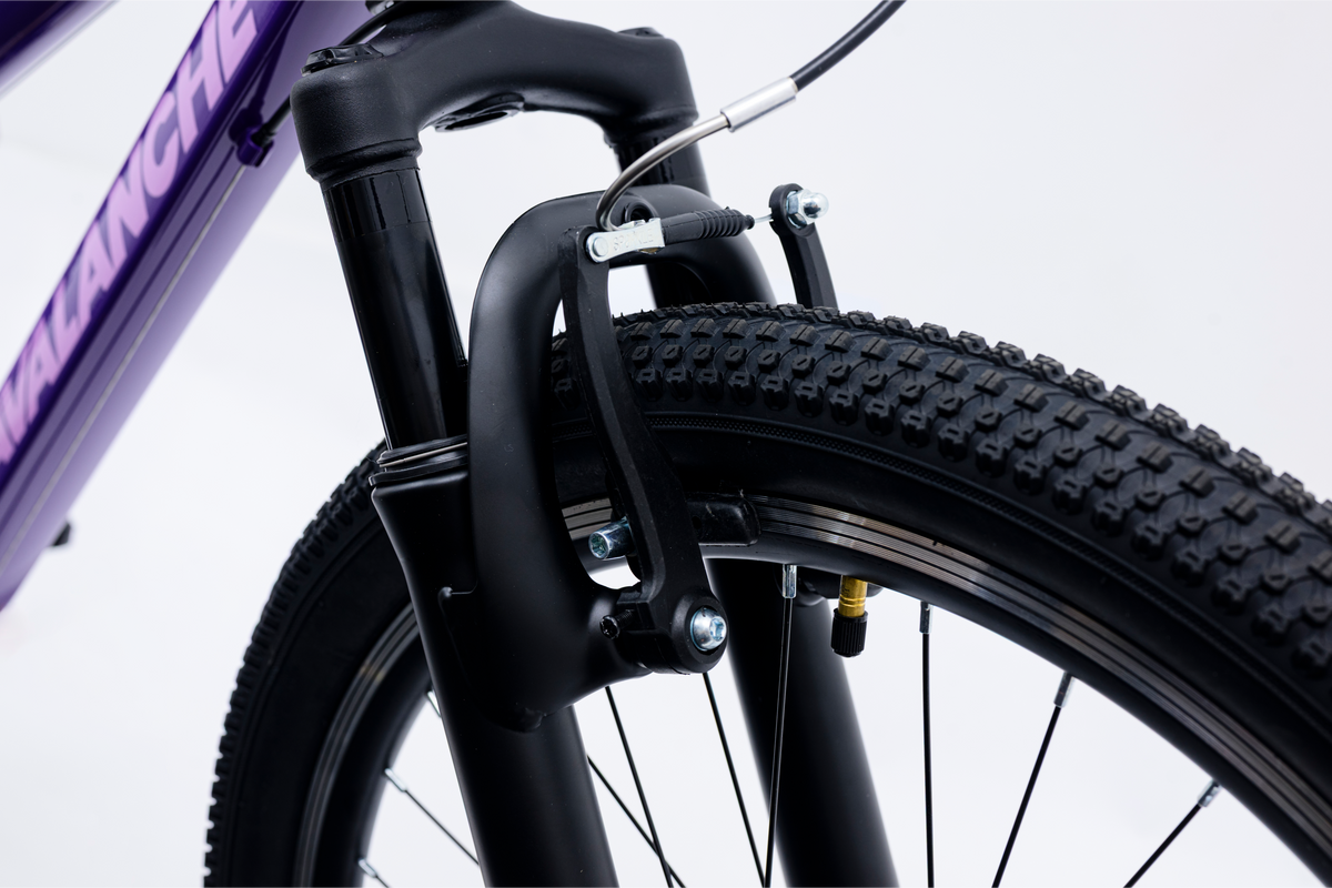 Avalanche Cosmic  24" Girls Purple
