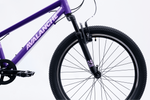 Avalanche Cosmic  24" Girls Purple — full-size ERPLY original