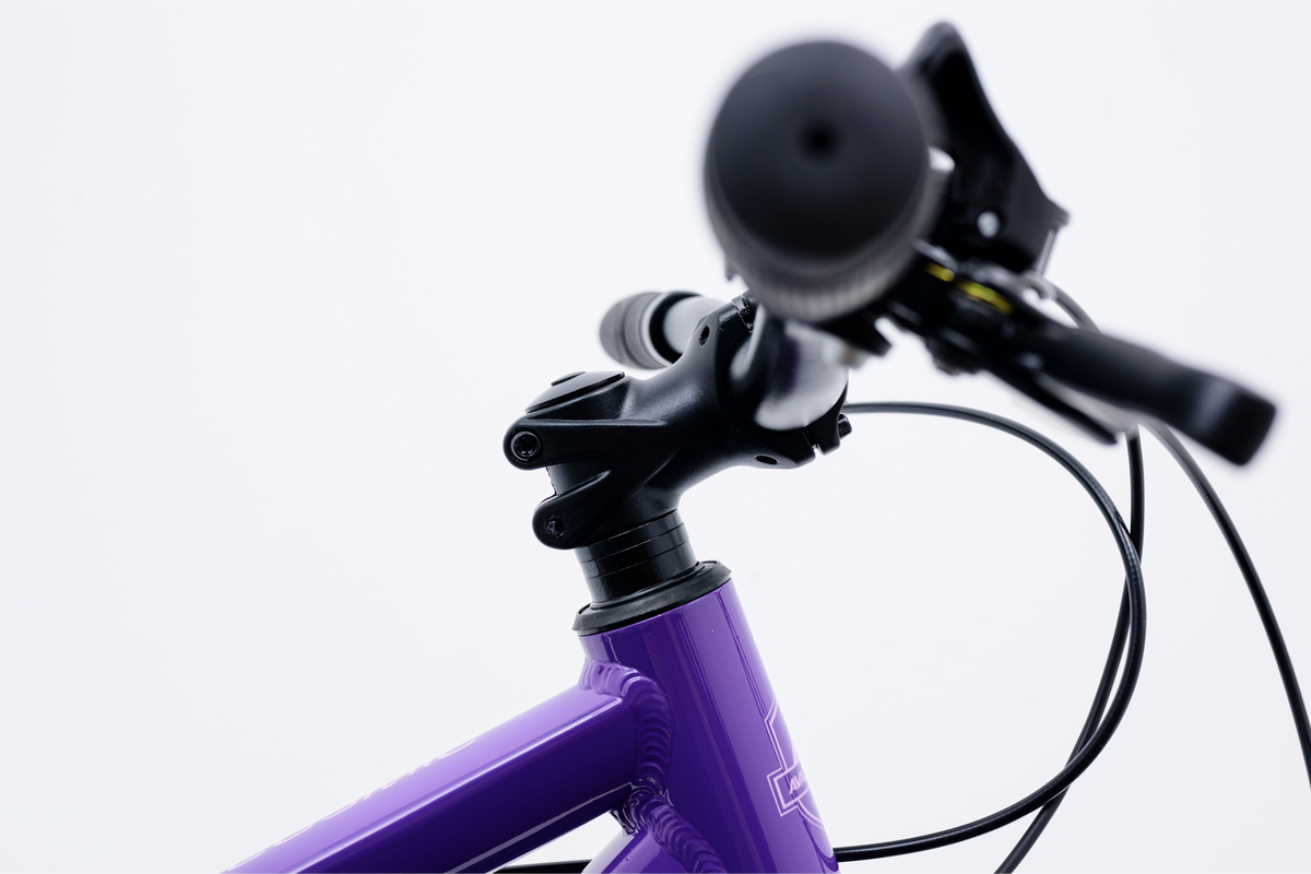 Avalanche Cosmic  24" Girls Purple