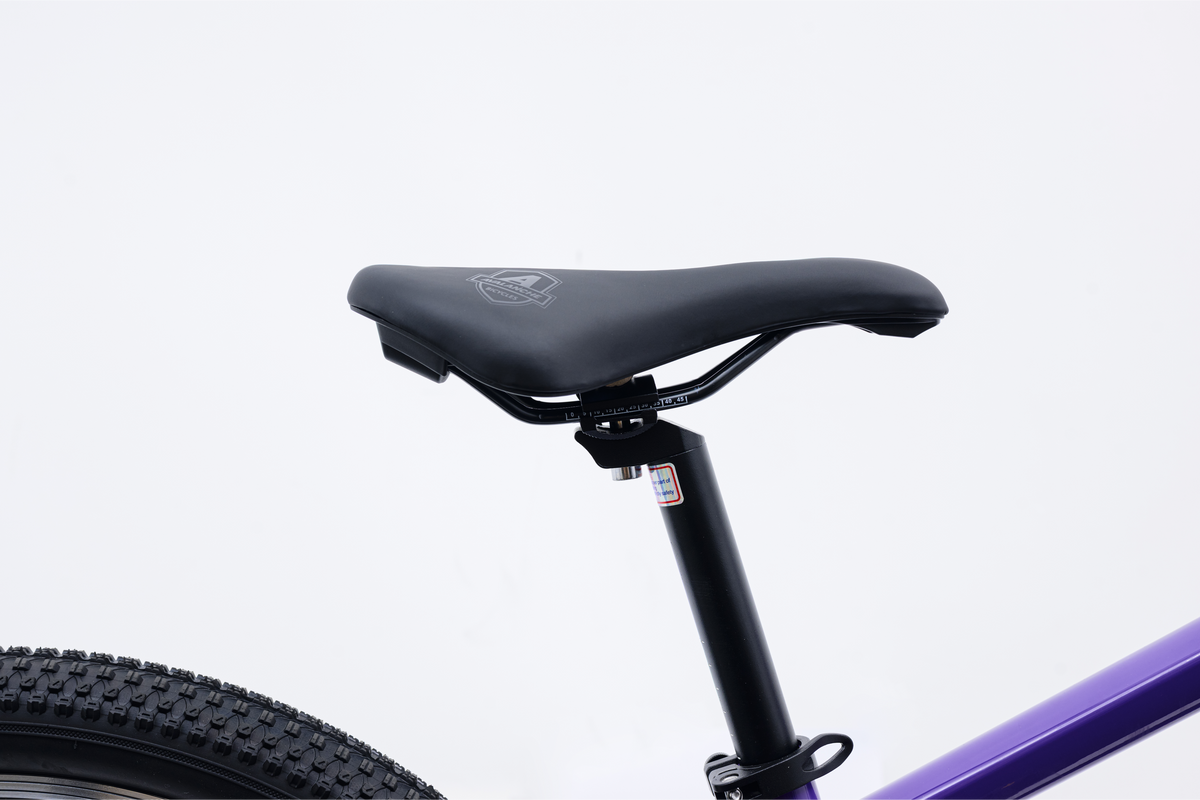 Avalanche Cosmic  24" Girls Purple