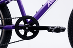 Avalanche Cosmic  24" Girls Purple
