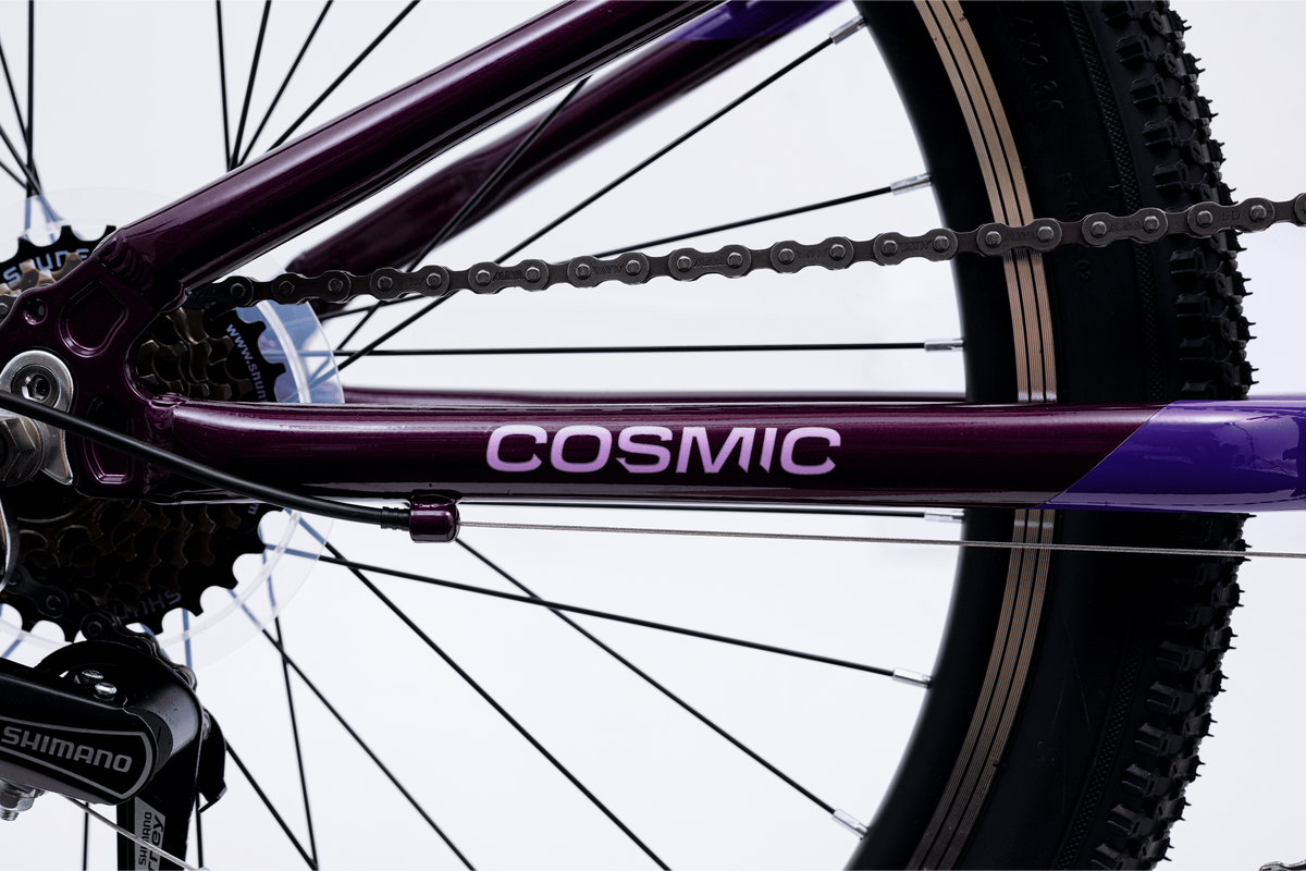 Avalanche Cosmic  24" Girls Purple