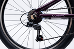Avalanche Cosmic  24" Girls Purple