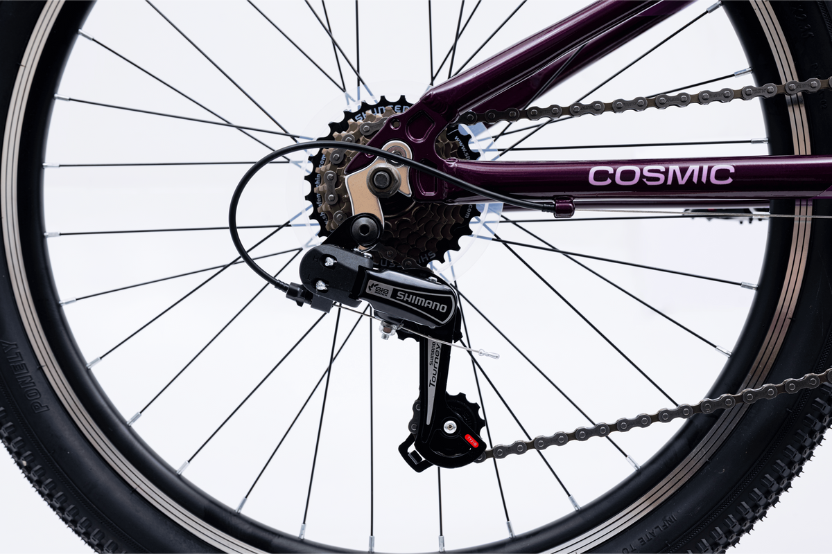 Avalanche Cosmic  24" Girls Purple