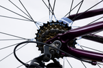 Avalanche Cosmic  24" Girls Purple