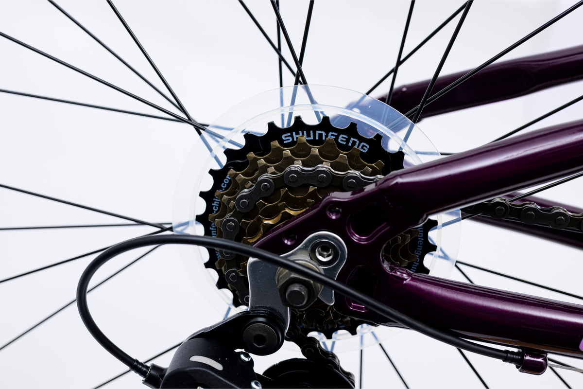 Avalanche Cosmic  24" Girls Purple