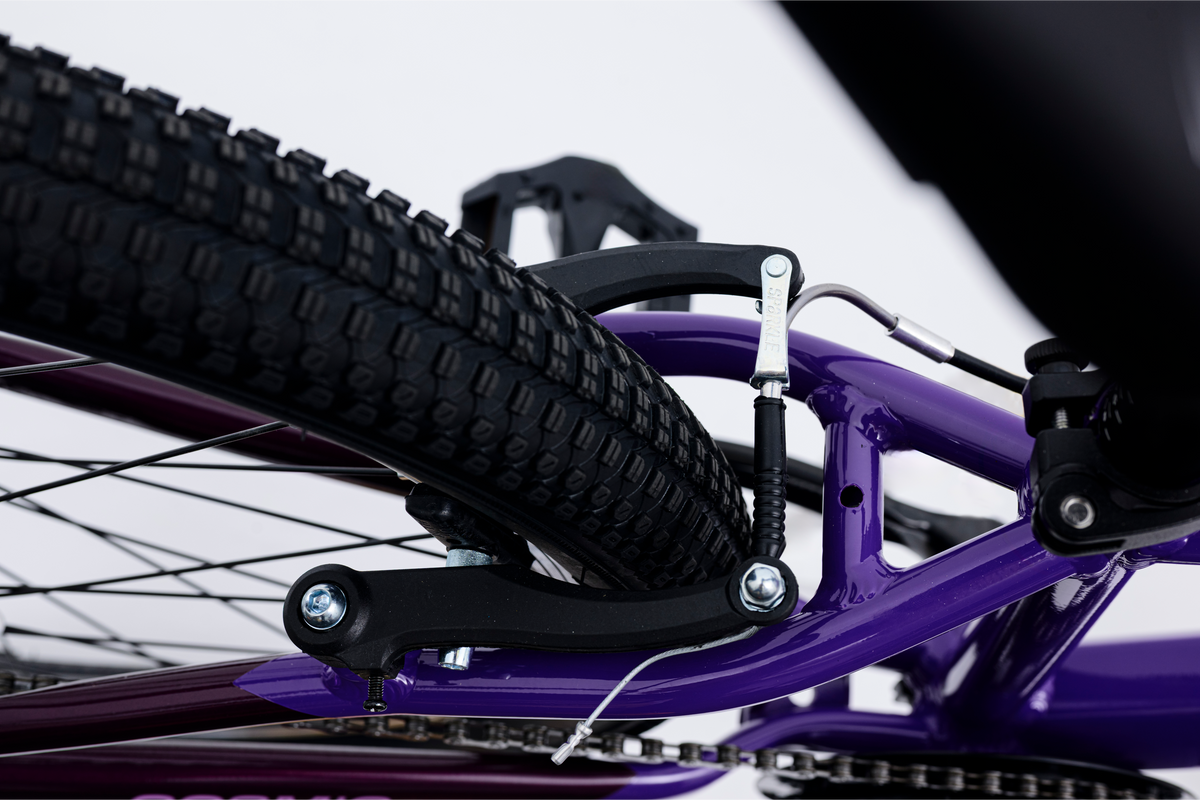 Avalanche Cosmic  24" Girls Purple
