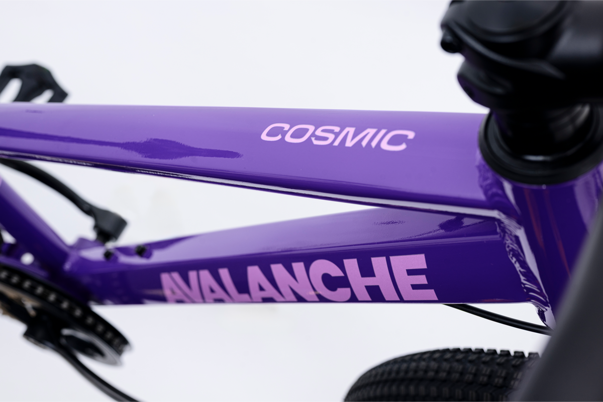 Avalanche Cosmic  24" Girls Purple