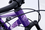 Avalanche Cosmic  24" Girls Purple