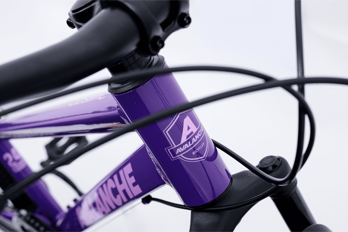 Avalanche Cosmic  24" Girls Purple