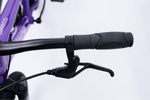 Avalanche Cosmic  24" Girls Purple