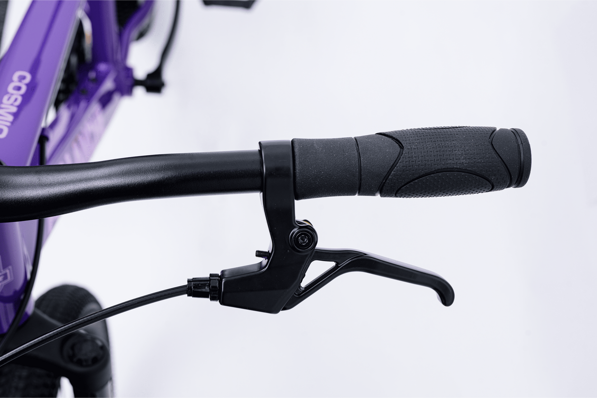 Avalanche Cosmic  24" Girls Purple