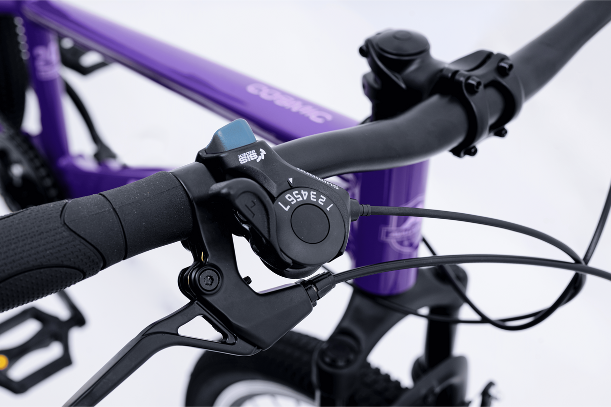 Avalanche Cosmic  24" Girls Purple