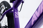 Avalanche Cosmic  24" Girls Purple