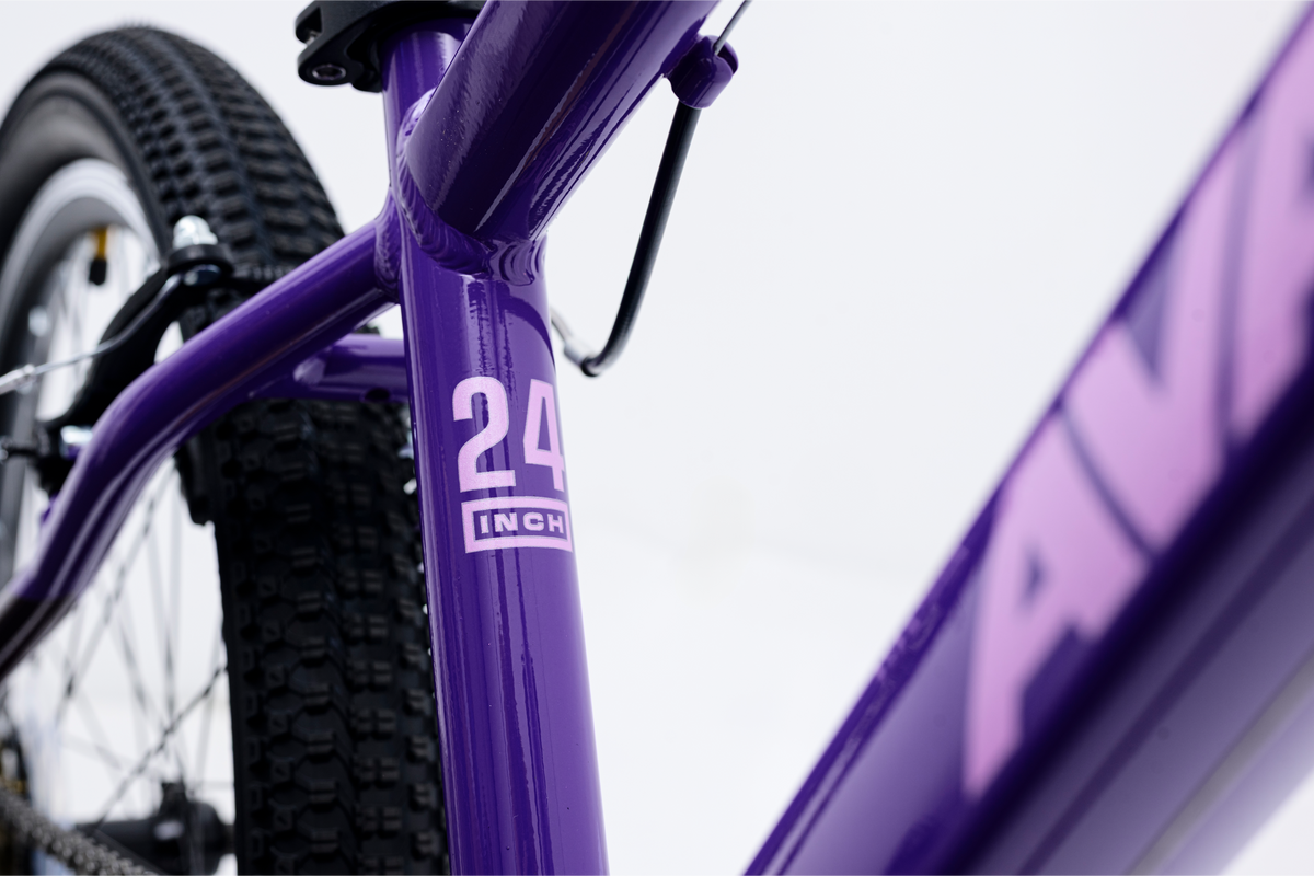 Avalanche Cosmic  24" Girls Purple