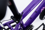 Avalanche Cosmic  24" Girls Purple