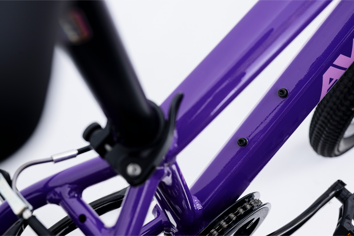 Avalanche Cosmic  24" Girls Purple