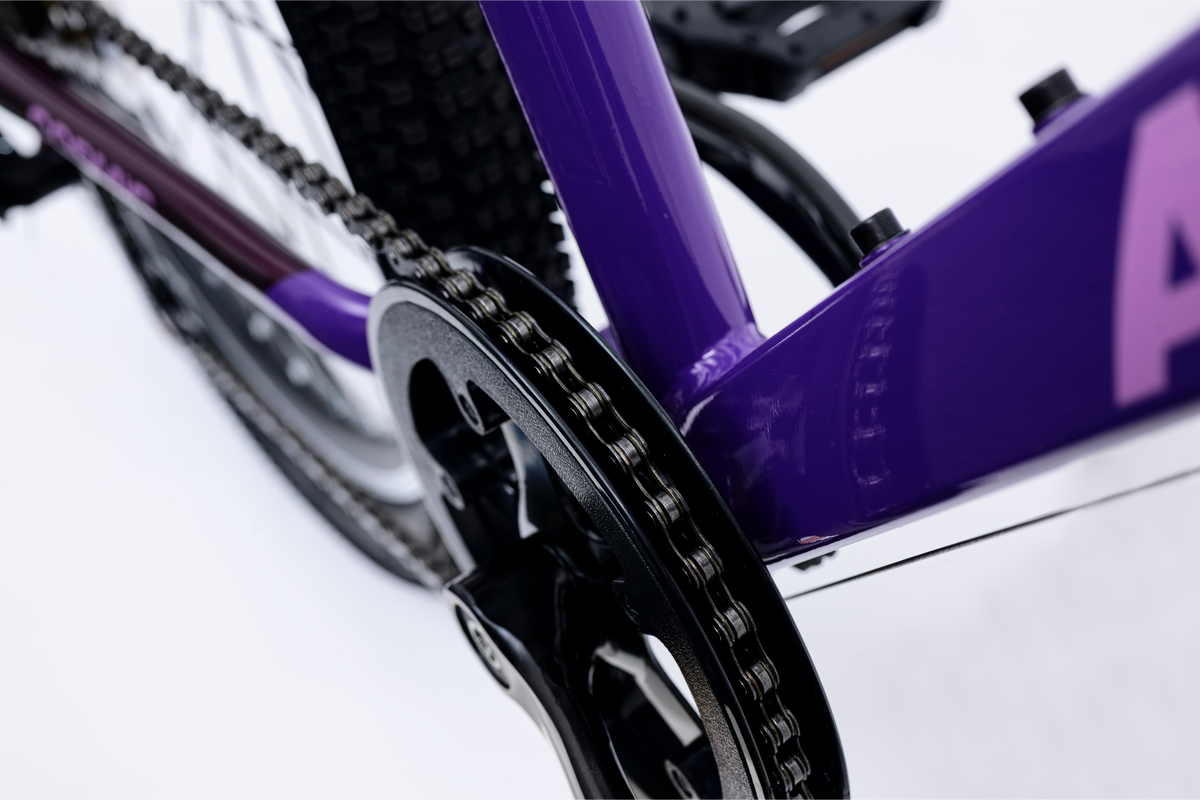 Avalanche Cosmic  24" Girls Purple