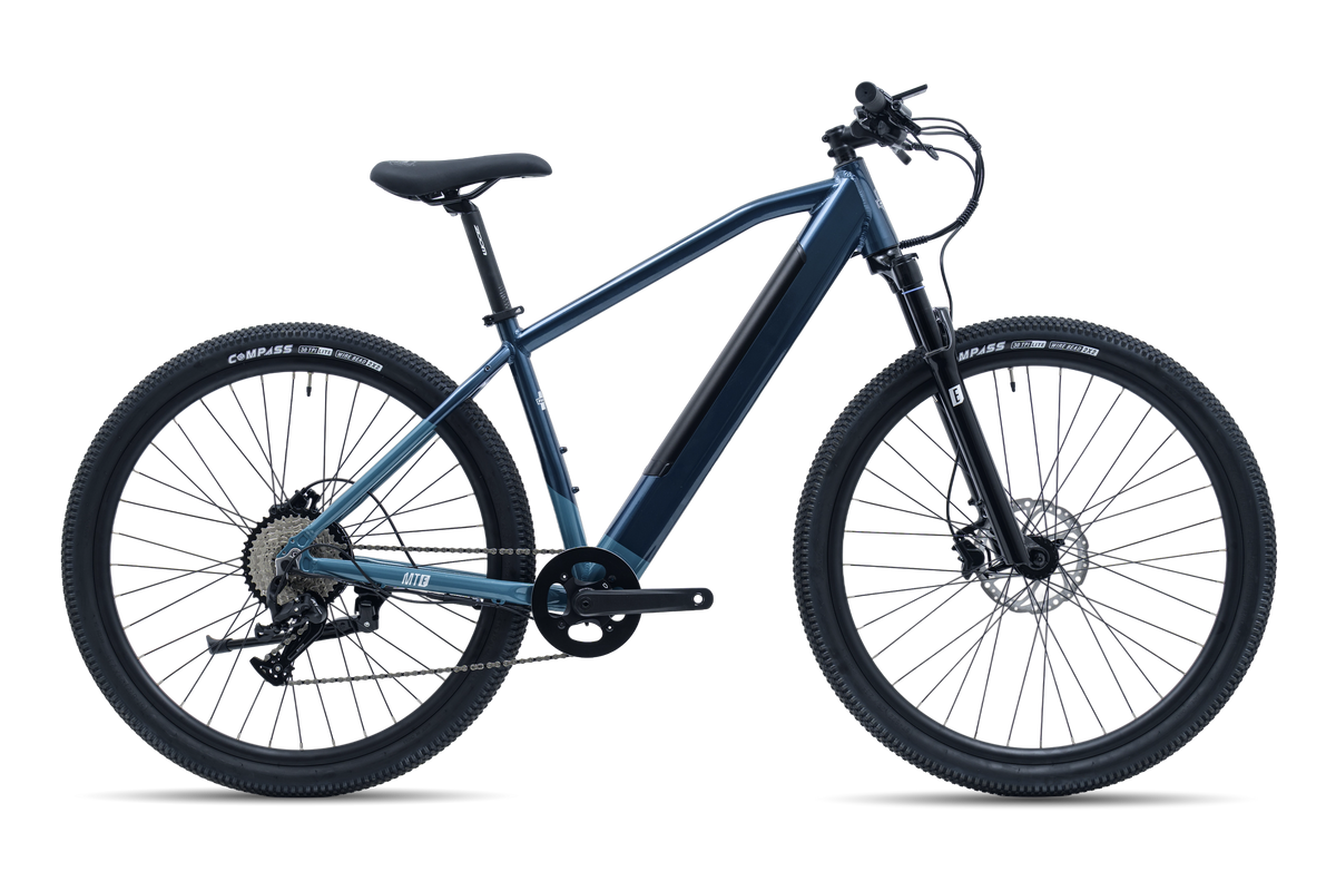Avalanche MTE E-BIKE 29" SEA SPARKLE — full-size ERPLY original