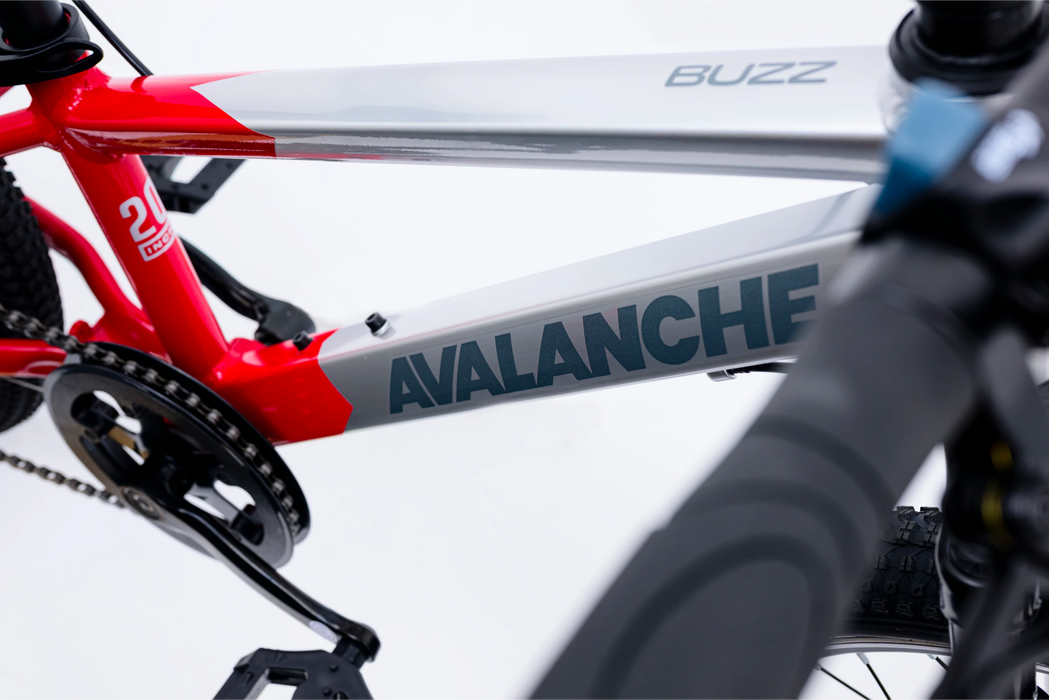 Avalanche Buzz 20" Boys Red
