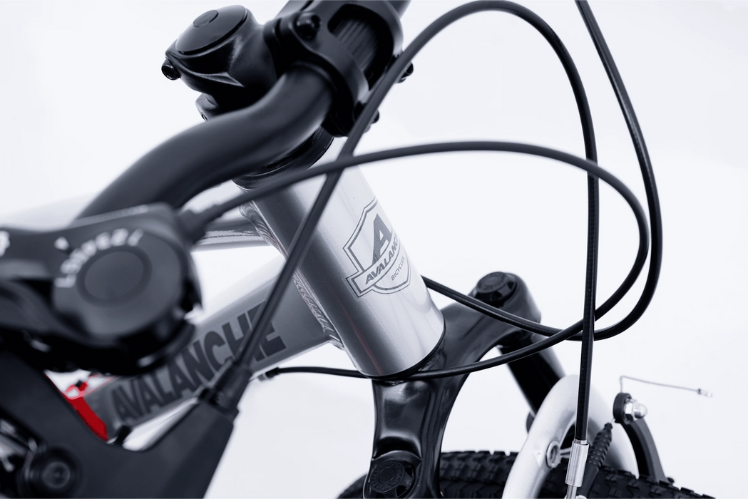 Avalanche Buzz 20" Boys Red