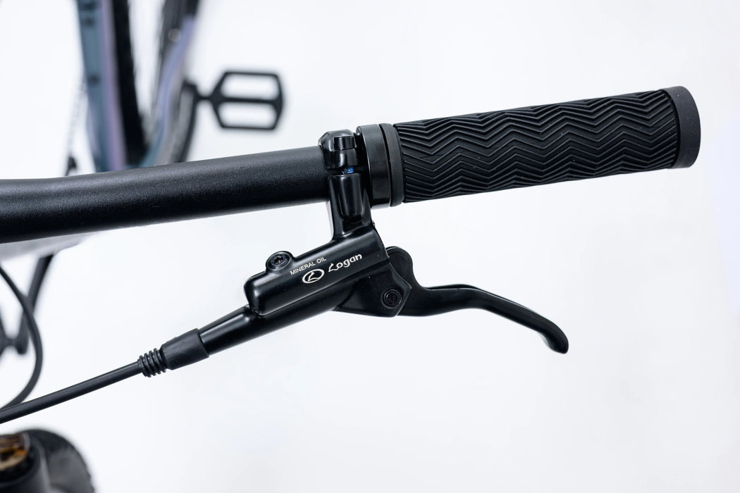 Avalanche Bike REFLEX 26" ER SPORT DARK SILVER