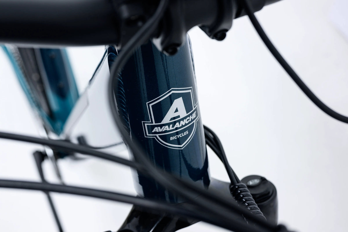Avalanche MTE E-BIKE 29" SEA SPARKLE — full-size ERPLY original