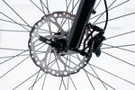 Avalanche MTE E-BIKE 29" SEA SPARKLE