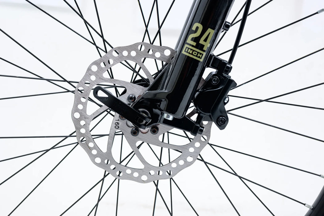 Avalanche Bike IGNITE 24 - Boys, Sand Green