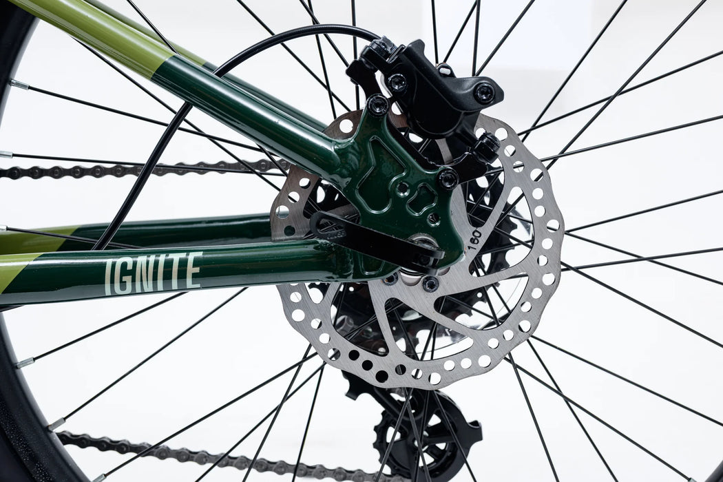 Avalanche Bike IGNITE 24 - Boys, Sand Green