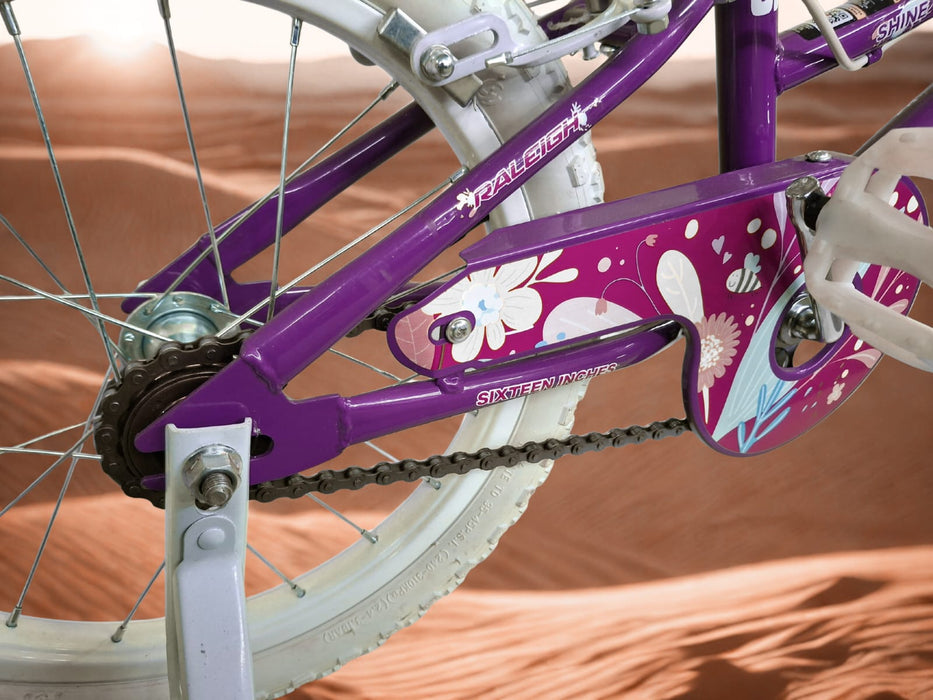 Raleigh 16 inch shine bicycle purple