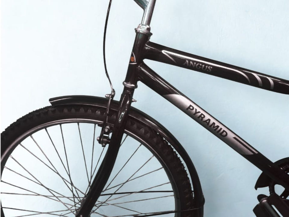 Bicycle Pyramid Unisex With Rear Carrier And Rear Wheel Stand Back Pedal Hub