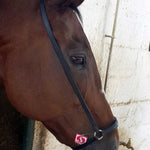 Noseband drop english leather BLACK
