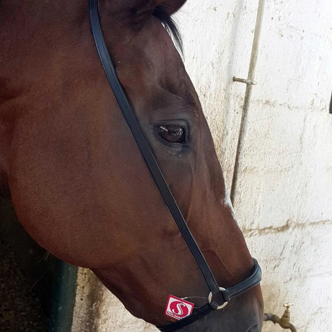 Noseband drop english leather BLACK