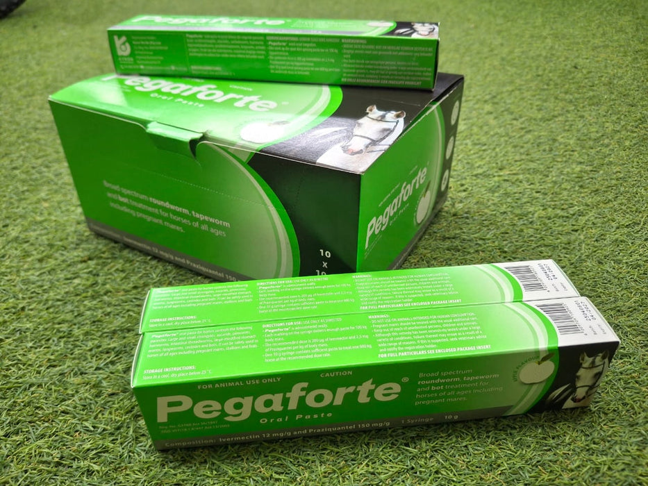 Pegaforte Dewormer 10?g | Broad-Spectrum Equine Paste for Horses, Foals &amp; Pregnant Mares