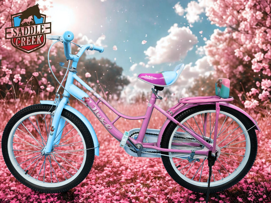 Galaxy BMX 20 inch Bicycle girls full house