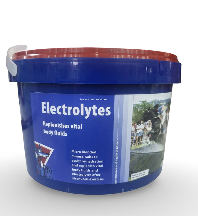 EQUISUPREME ENDUROLYTES V20734 Electrolytes 1kg