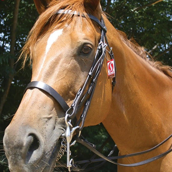 Bridle double flat leather solo