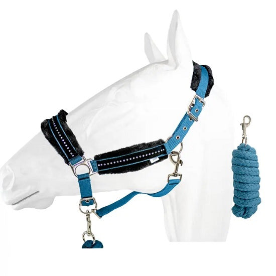 Halter equistyle stellar with lead