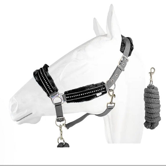 Halter equistyle stellar with lead