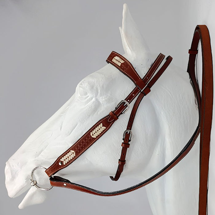 Western bridle look ahead