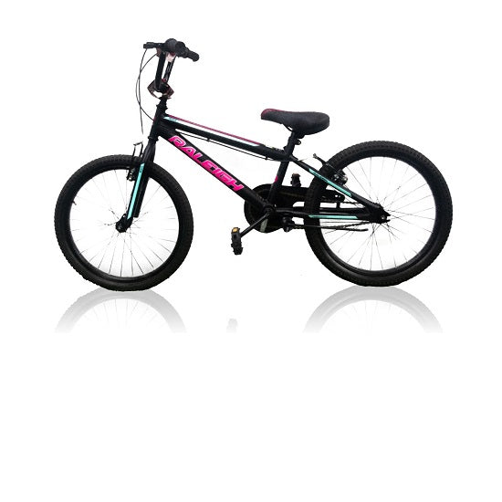 Raleigh 20 inch bmx bicycle