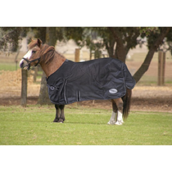 Storm buster miniature outdoor blanket