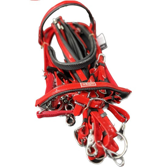 Regus Endurance Bridle set